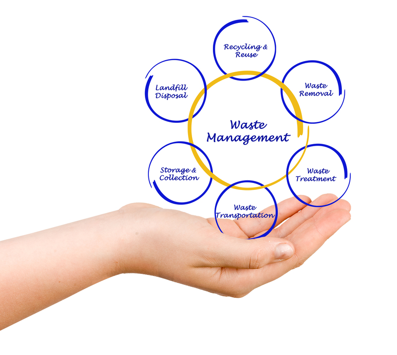 Restore Order with Comprehensive Hoarder Clean Up